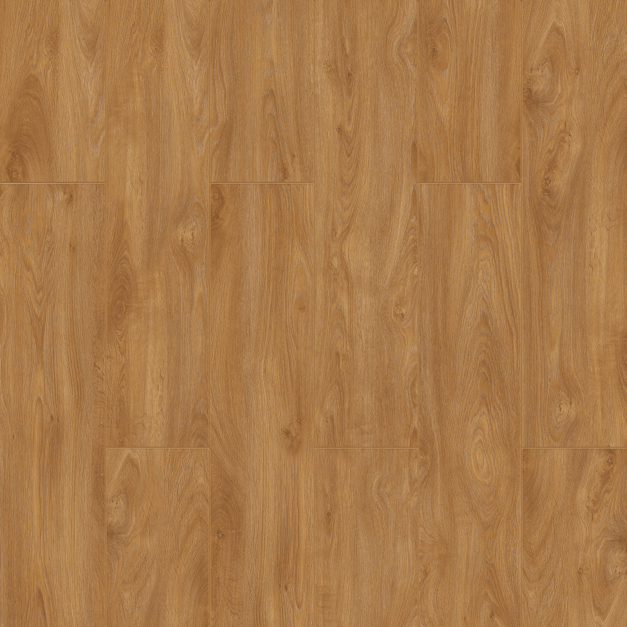 Avangard Asi Meşe - Çamsan Derzli Parke 10mm - Görsel 2