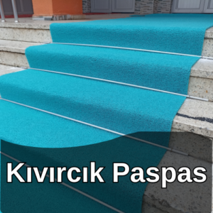 Kıvırcık Paspas Kategori Fotoğrafı