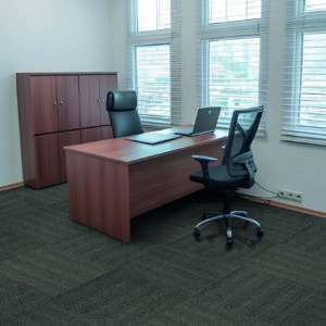 Tampa Serisi Kategori Fotoğrafı