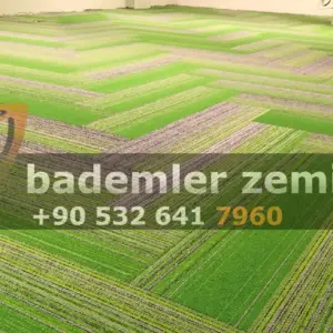 Heartbeat 5 Karo Halı