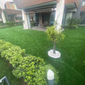 Çim Halı Kategori Fotoğrafı