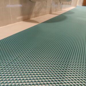 Petek Paspas Kategori Fotoğrafı