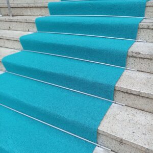 Kıvırcık Paspas Kategori Fotoğrafı