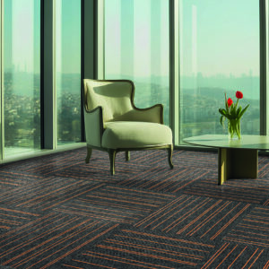 Nevada Serisi Kategori Fotoğrafı